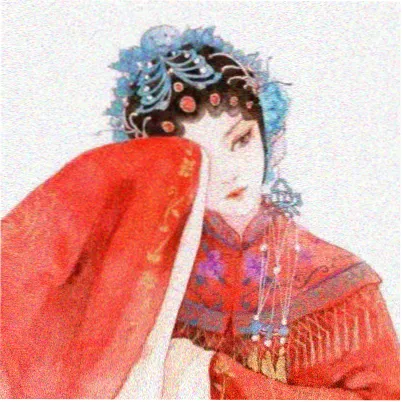 读者掌天瓶研究员头像